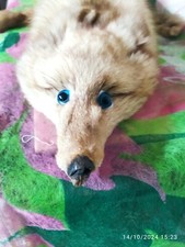 ABBIGLIAMENTO ACCESSORI DONNA