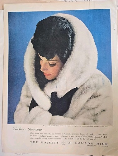 Cappotto pelliccia visone
