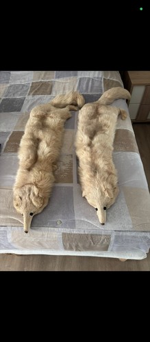 Coppia stole vintage in - coppia,